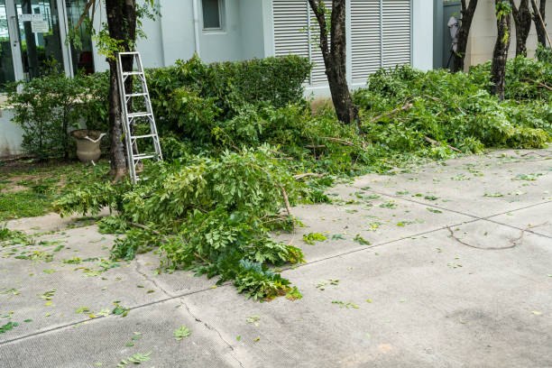 Best Tree Trimming and Pruning  in Leisure Knoll, NJ
