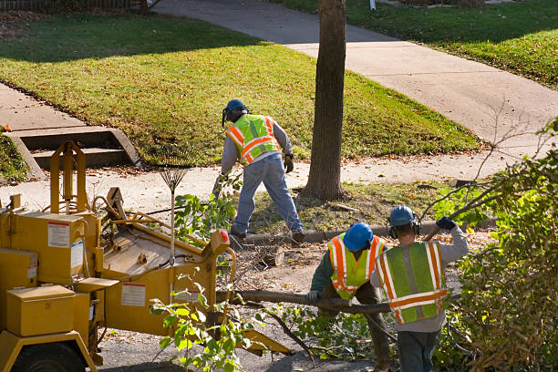 Best Firewood Processing and Delivery  in Leisure Knoll, NJ